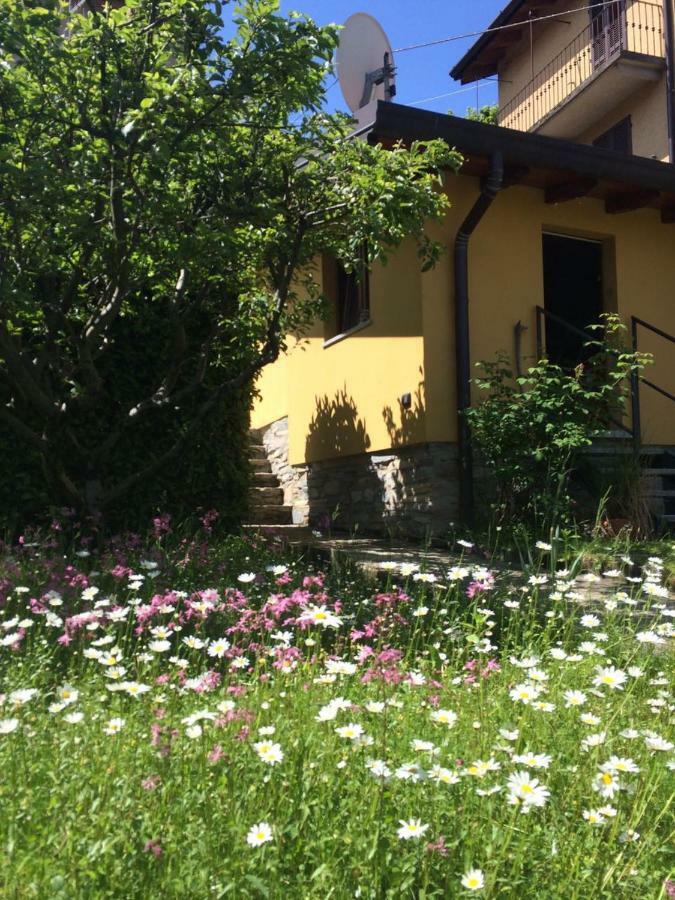 Casa vacanze Casa Delle Rose *
