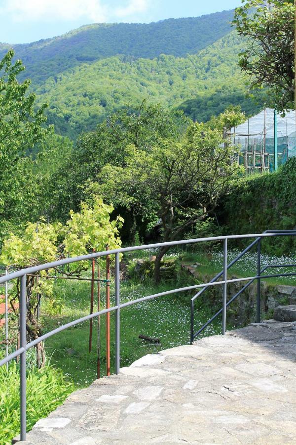 Holiday home Casa Delle Rose Faggeto Lario